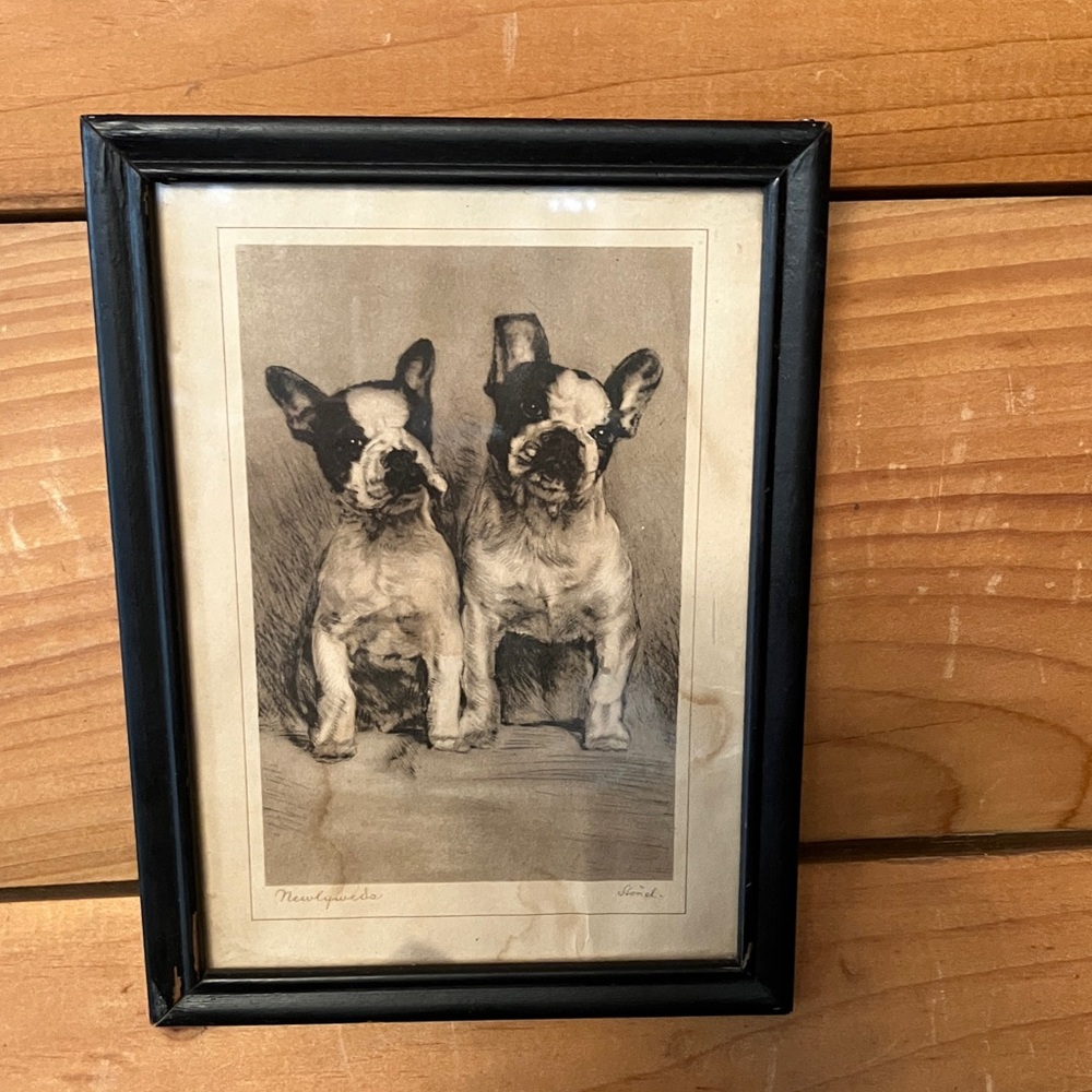 Vintage Framed Newlywed French Bulldog print